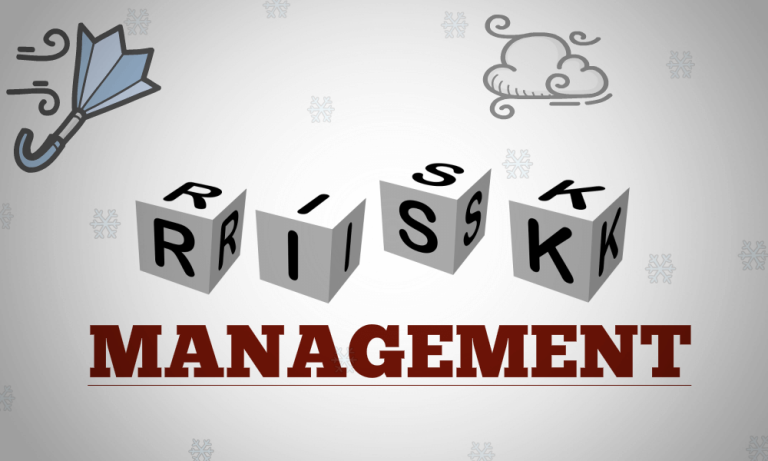 What is Risk Management and its importance?