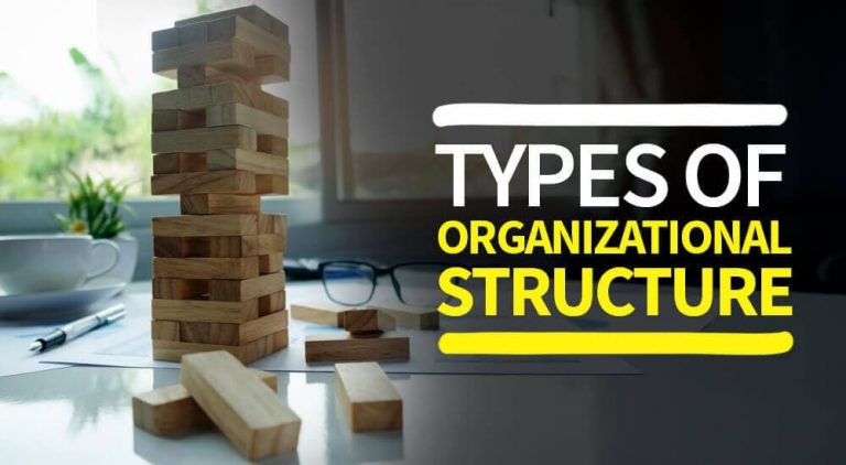 组织结构的类型