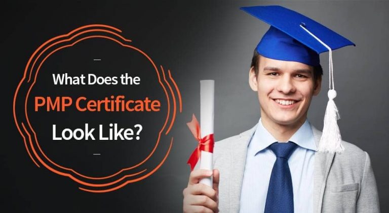 What Does the PMP Certificate Look Like?